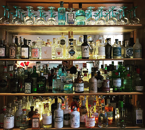 Special Gin & Tonic and Djs@ Botanical Affairs